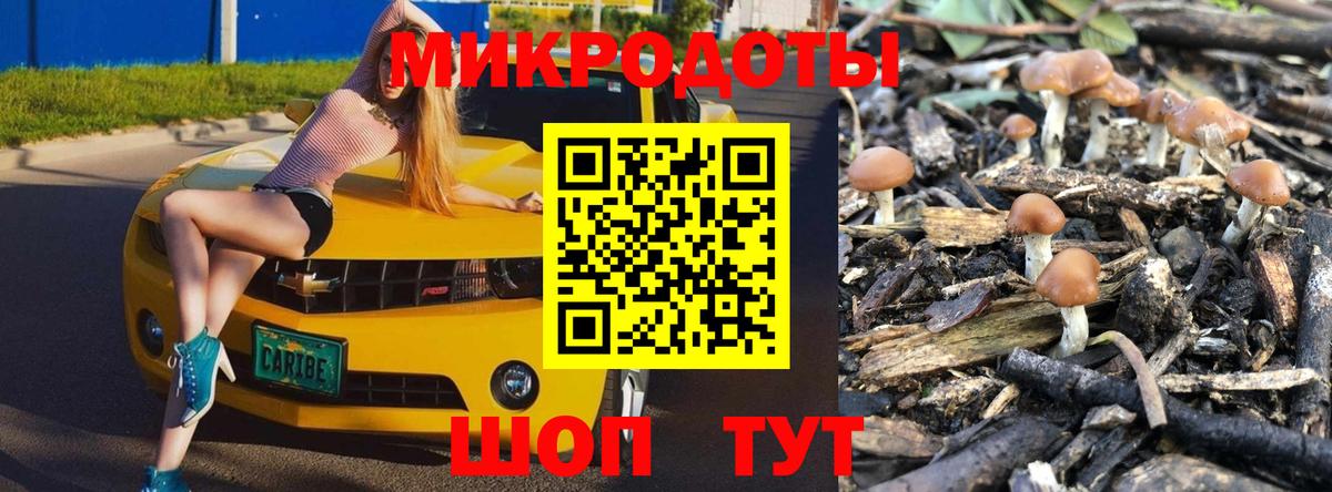 Галлюциногенные грибы ЛСД Кумертау